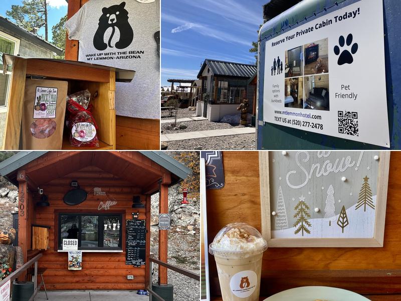 Mt Lemmon Coffee Bean