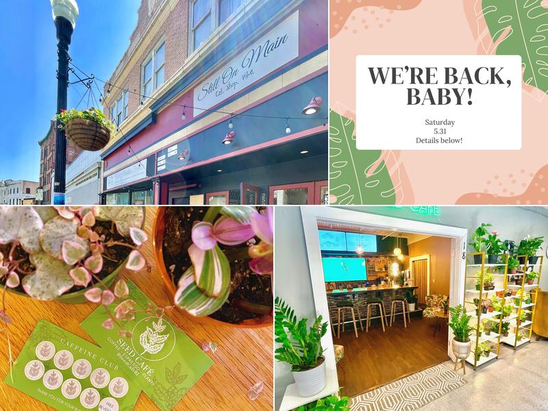 Seed Cafe and Espresso Bar