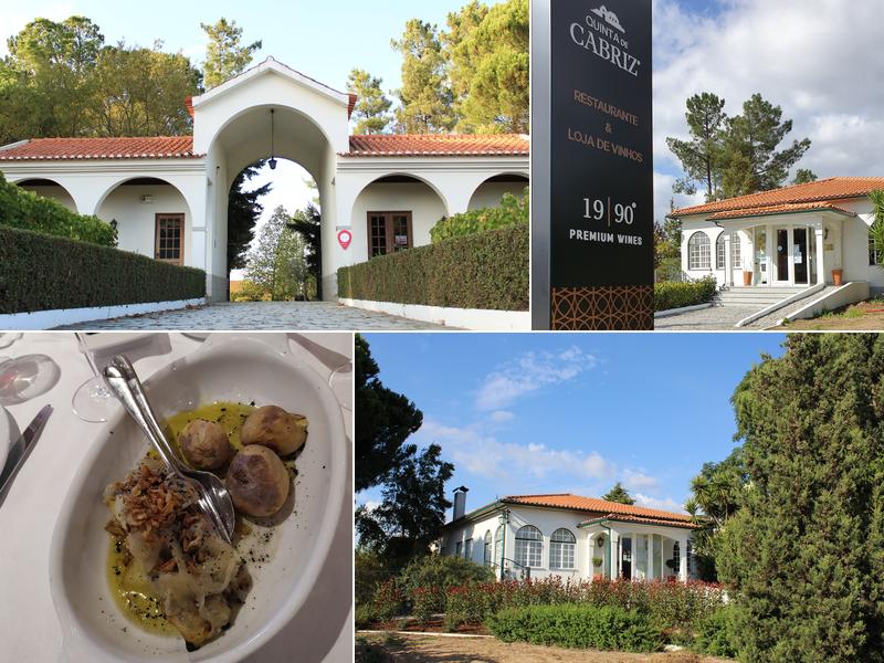 Quinta de Cabriz Carregal do Sal