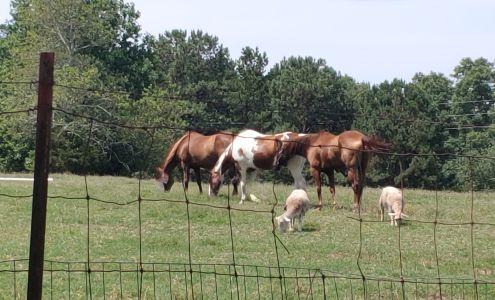 The Good Shepherd Family Farm