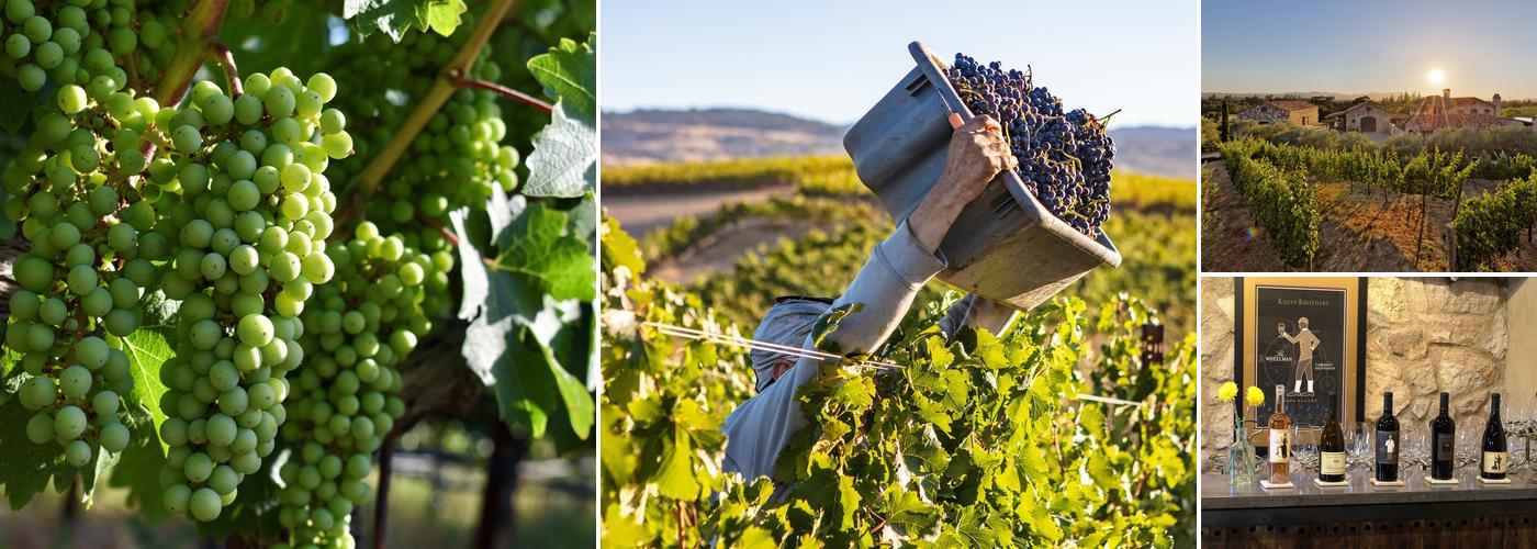 Krupp Brothers Winery and Estate