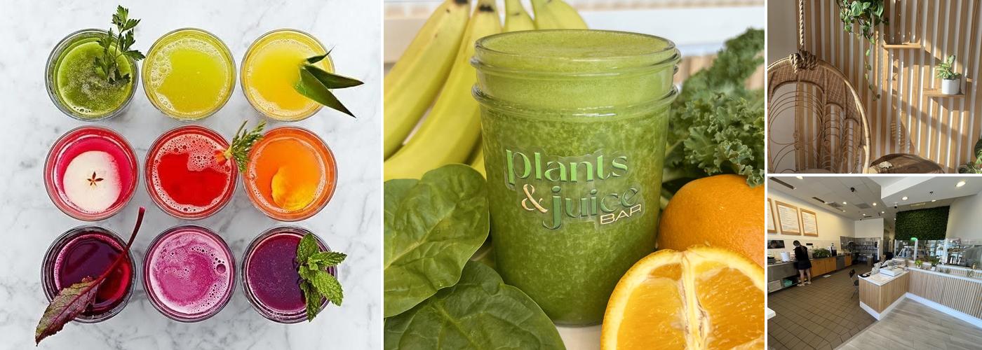 Plants and Juice Bar