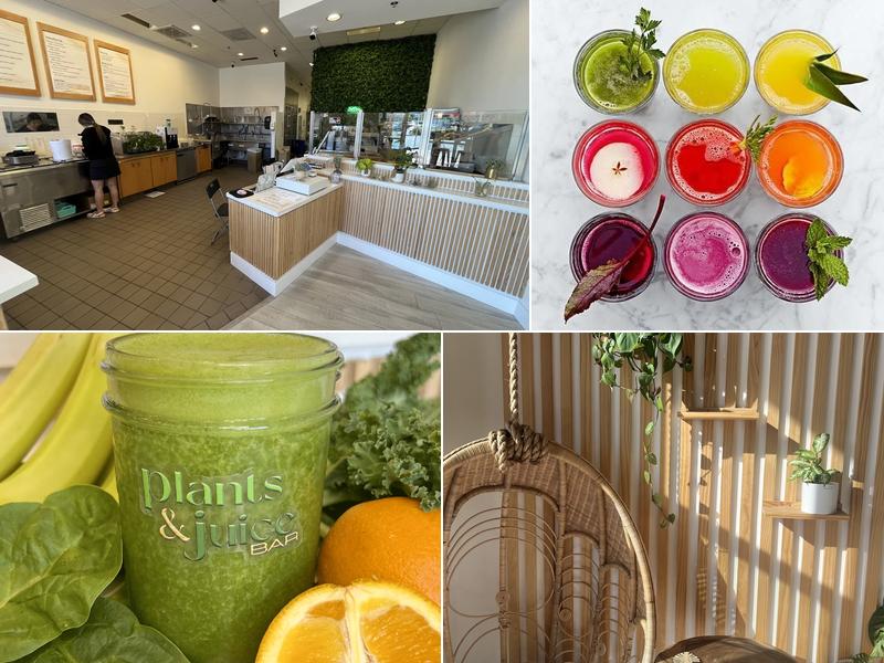 Plants and Juice Bar