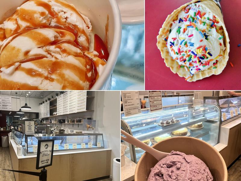 Angela's Organic Ice Cream