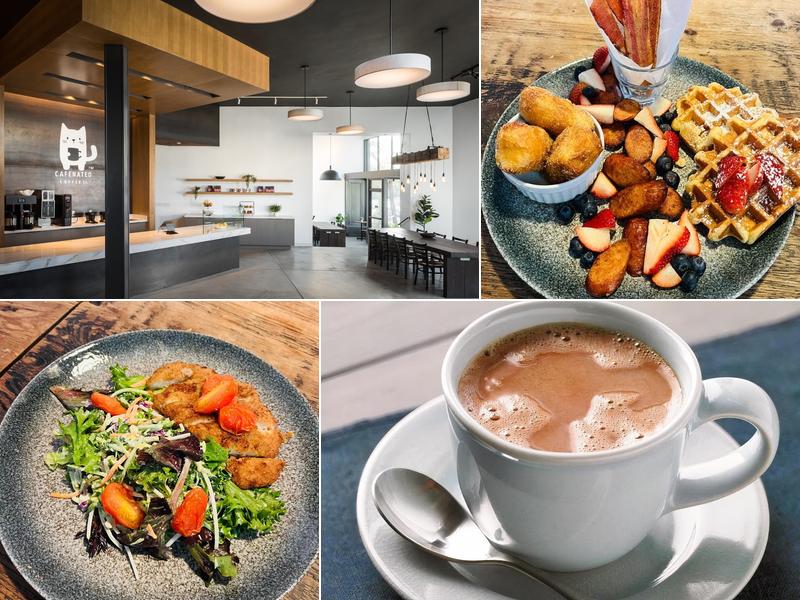 Cafenated Coffee Company