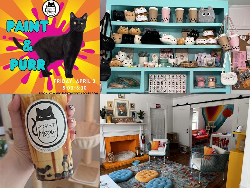 Right Meow Cat Cafe 913 S Main St, Fuquay-Varina
