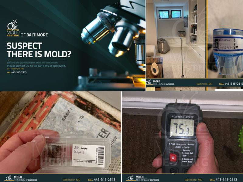 O2 Mold Testing of Baltimore