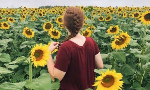 Wendell Roberson Farms