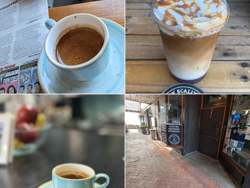 Groggy Scallywag Coffee House