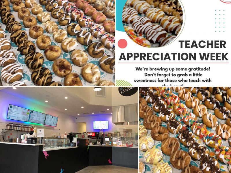 Sugar Llamas - Little Rock