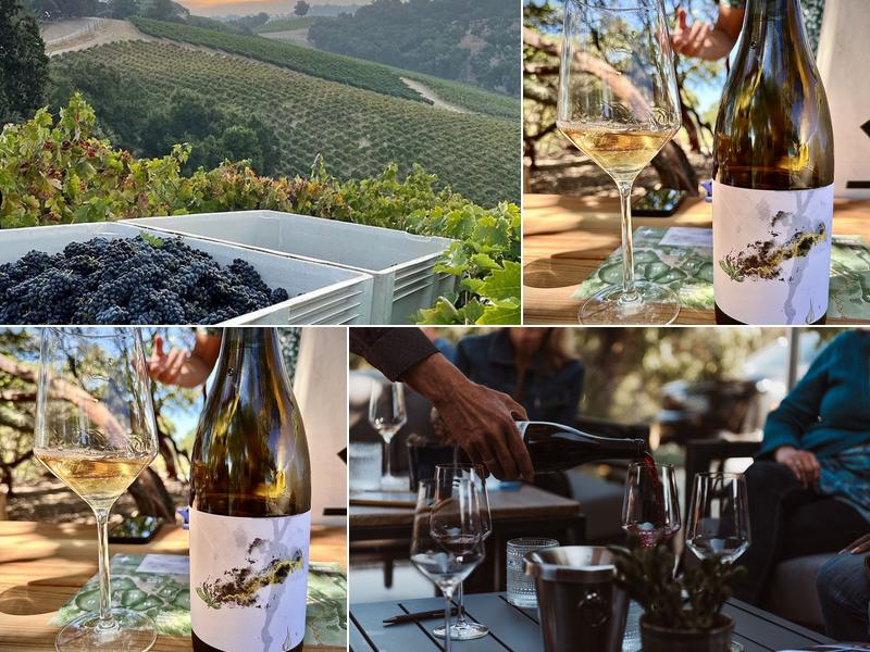 Hawks Hill Ranch Winery