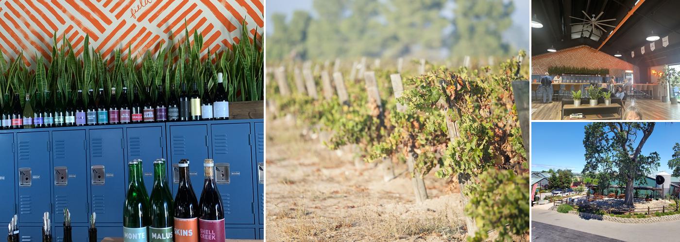 Field Recordings Winery