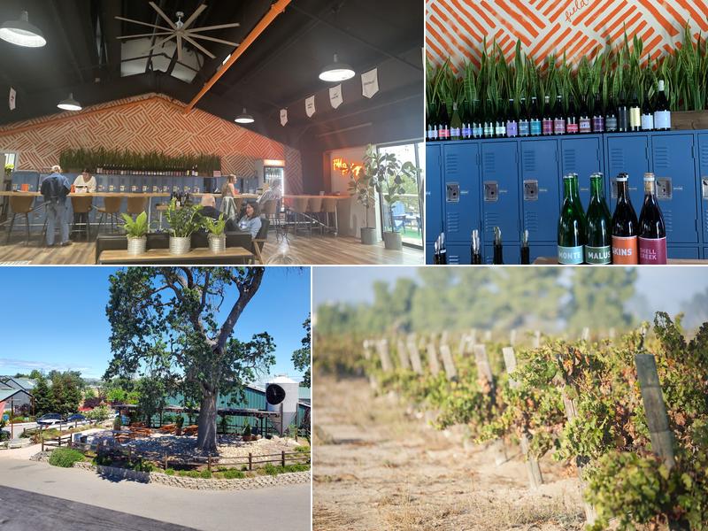 Field Recordings Winery