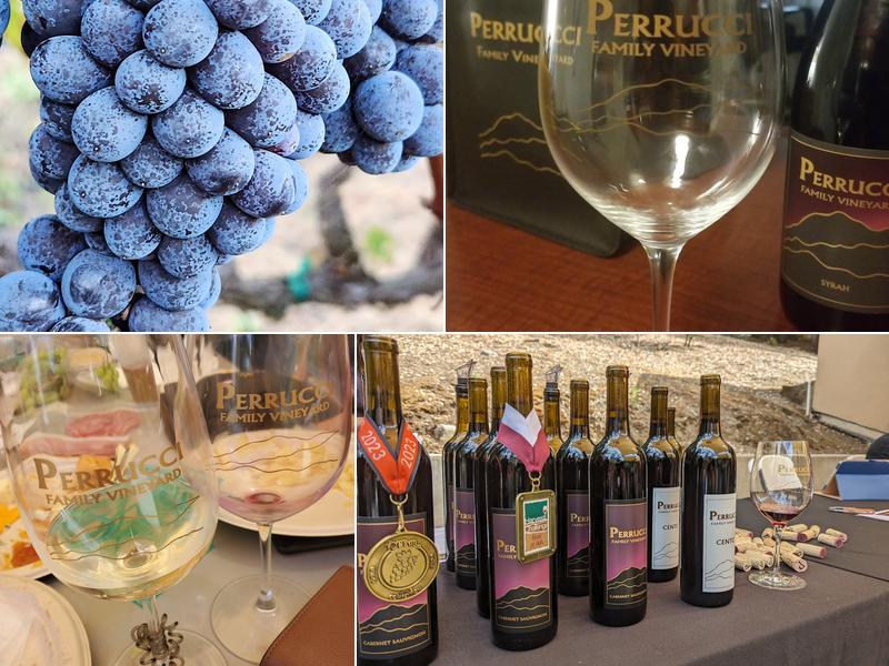 Perrucci Family Vineyard