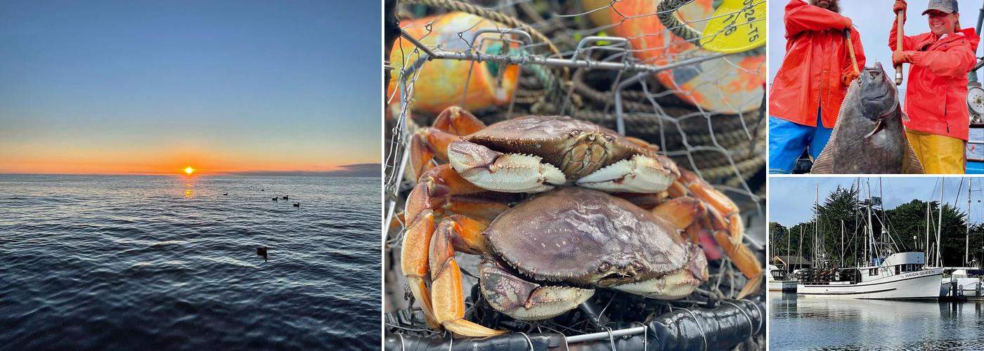 Oceana Hook & Line Seafood