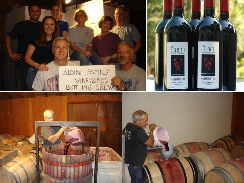 Albini Family Vineyards