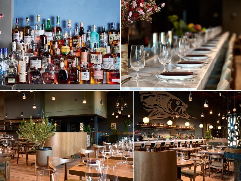 Meyhouse 640 Emerson St, Palo Alto