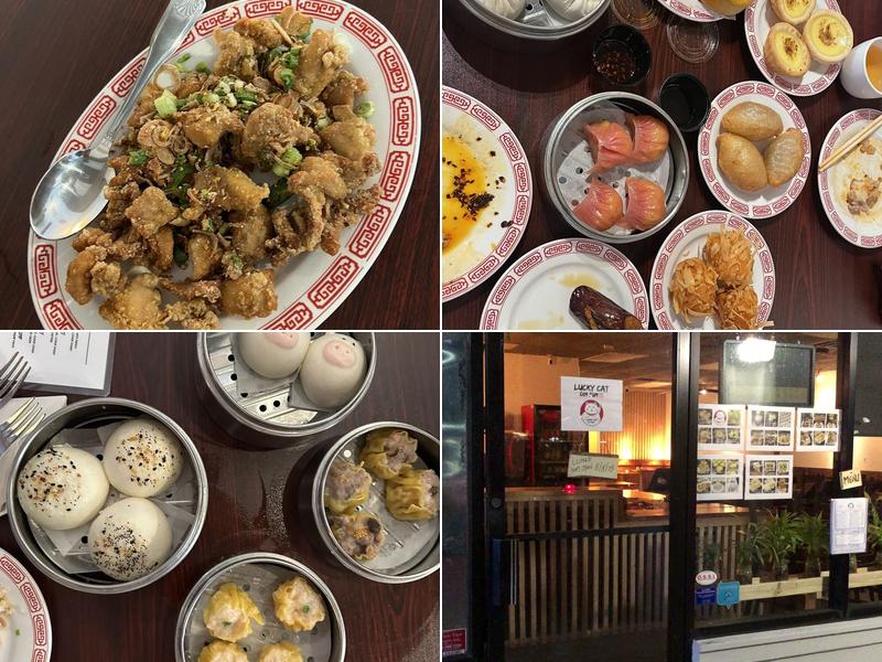 Lucky cat dim sum restaurant