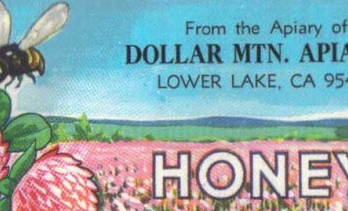 Dollar Mountain Apiaries Lower Lake