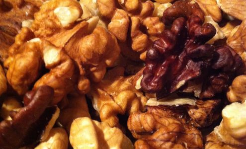 Kitchel Family Organics Farm Los Molinos