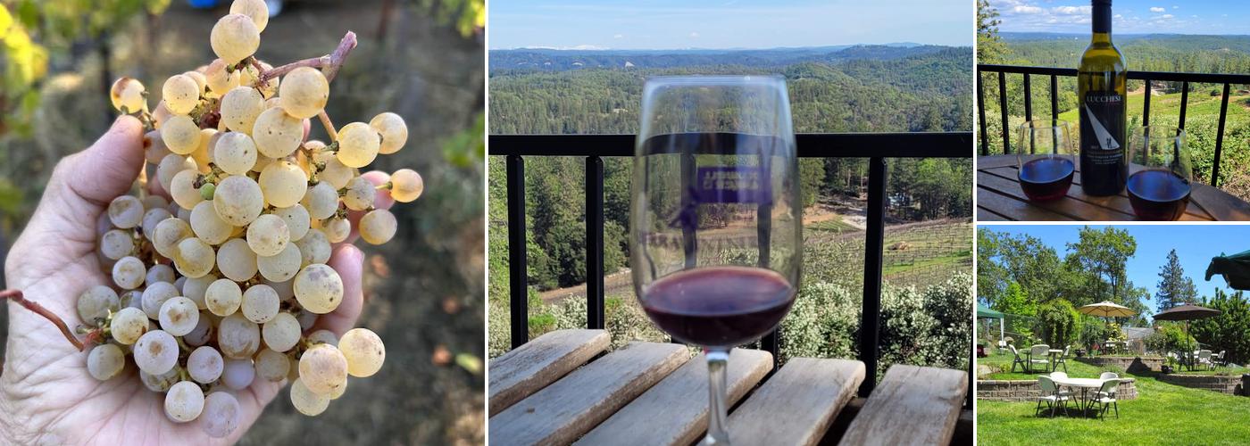 Lucchesi Vineyards & Winery
