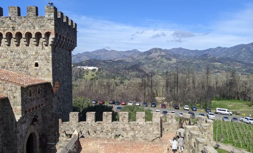 Destination Drivers Napa & Sonoma