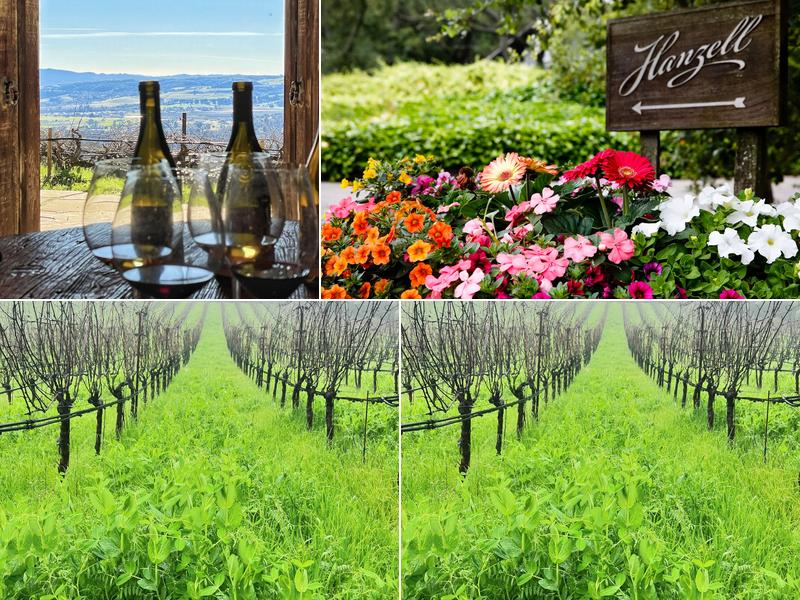 Hanzell Vineyards