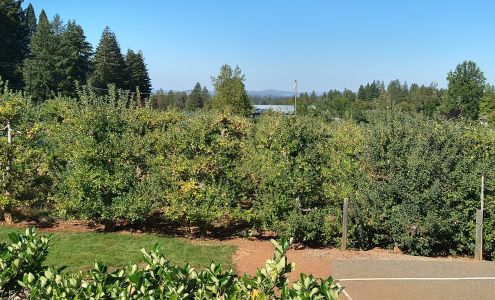 Goldbud Farms - Apple Hill # 39