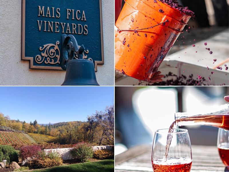 Mais Fica Vineyards & Winery