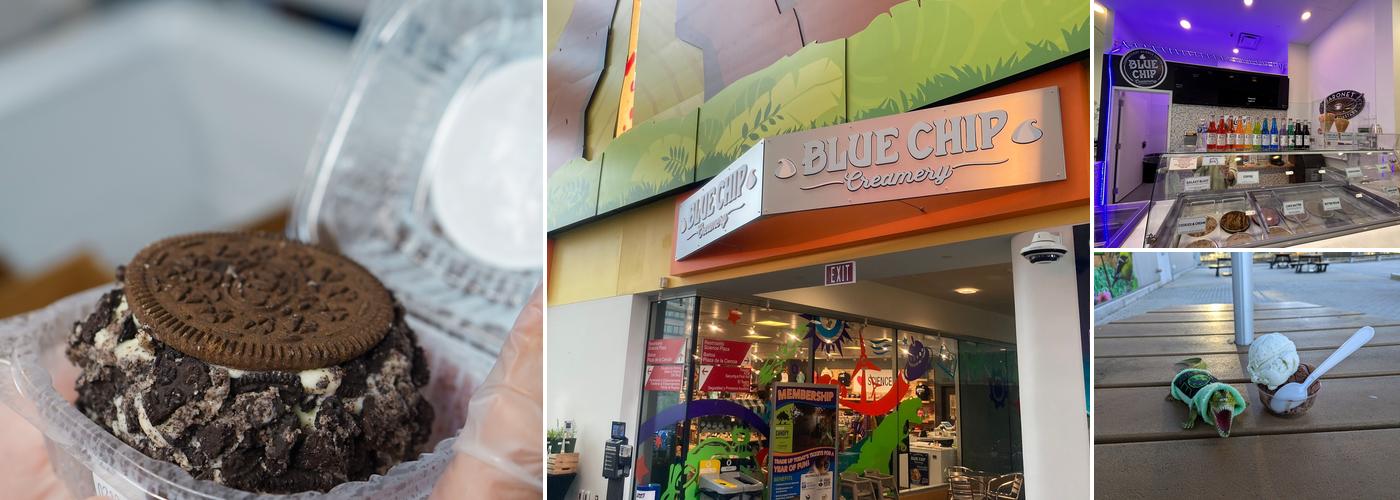 Blue Chip Creamery Ice Cream Shop