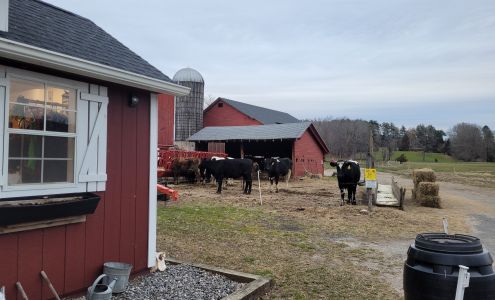 The Cow's Coop Collinsville