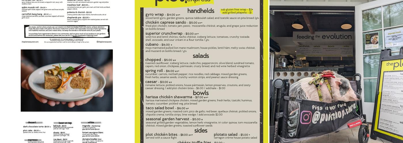 The Plot Express Menu