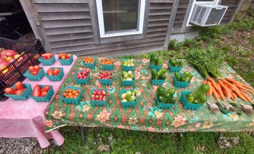 Shundahai Farm Storrs