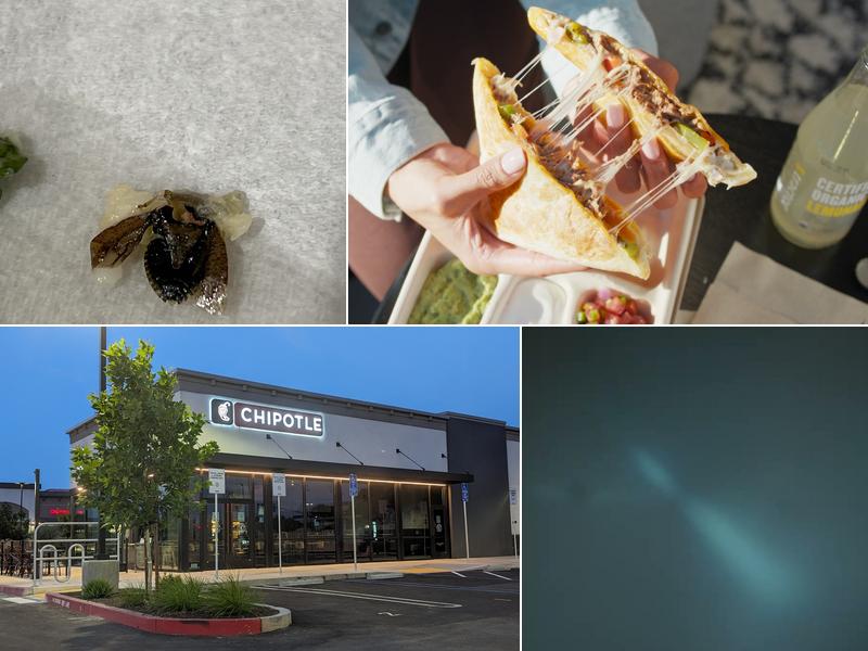 Chipotle Mexican Grill