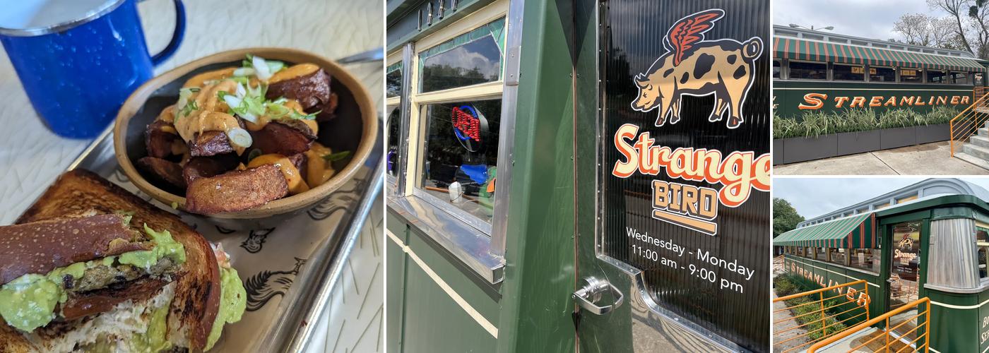 Strange Bird Savannah