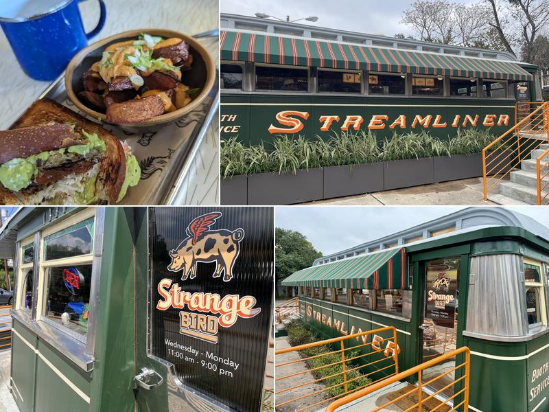 Strange Bird Savannah