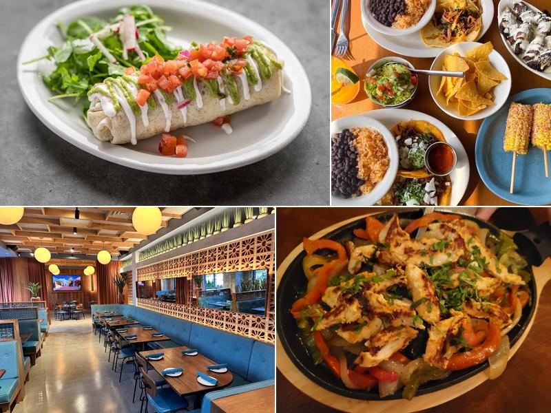 Tocolo Cantina Glen Cove