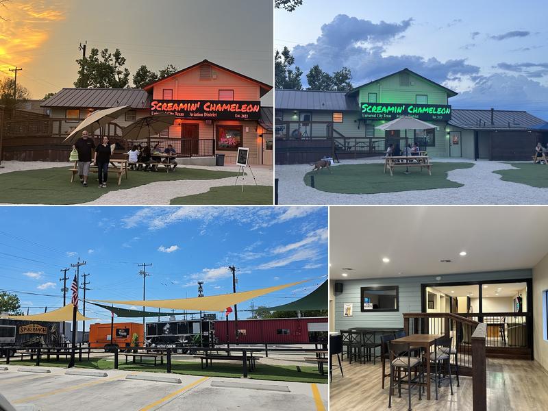 Screamin’ Chameleon