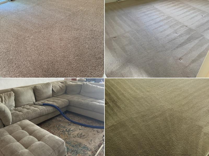 Sunbird Carpet Cleaning Columbia