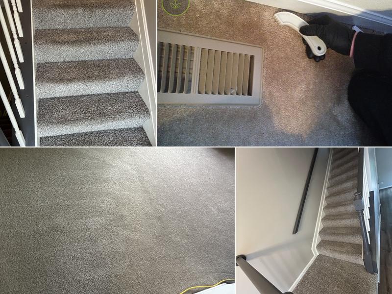 Hippo Carpet Cleaning of Perry Hall