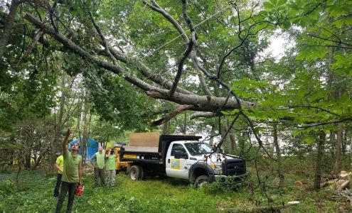 Eugene Barringer Tree Service Kerhonkson