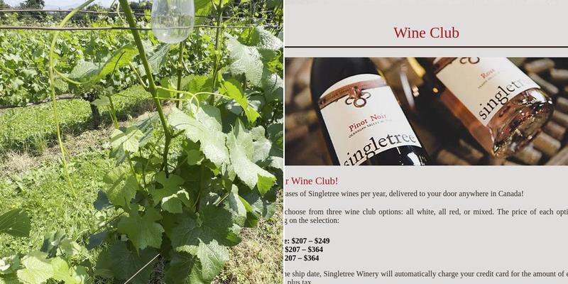 Singletree Winery Menu