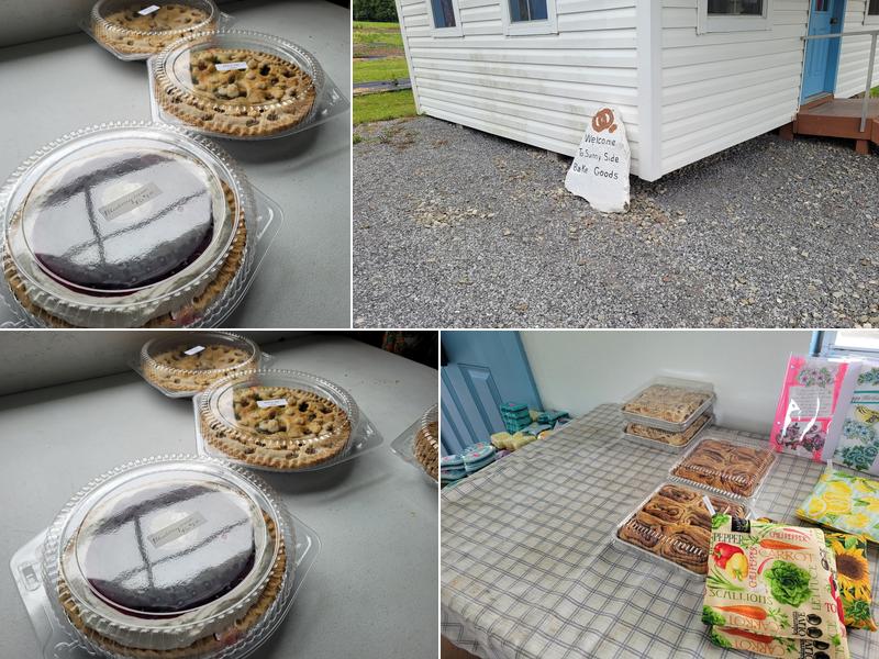 Amish bakery Dansville