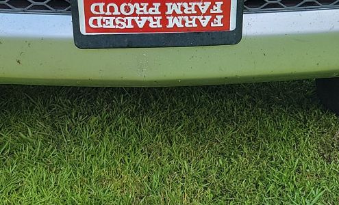 Farm Bureau Insurance