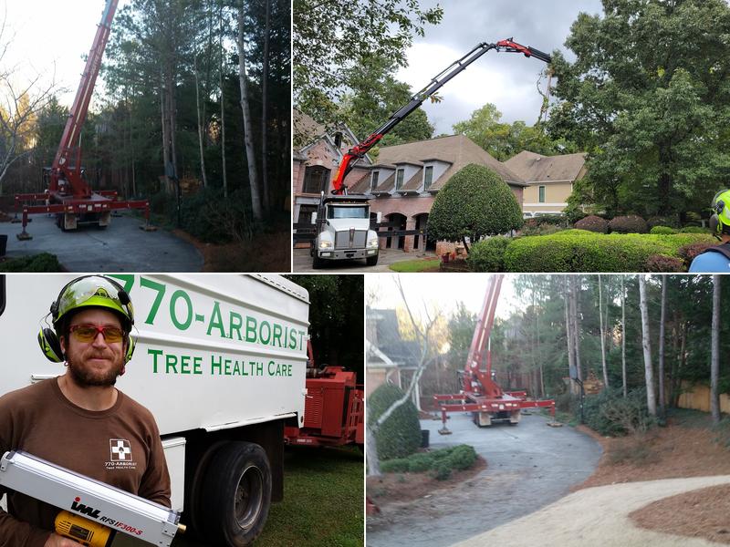 770 Arborist Emergency Tree & Crane Service