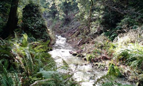 Van Damme State Park Little River