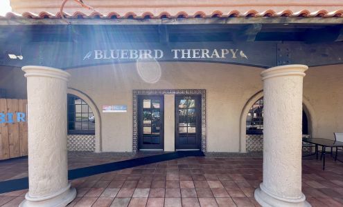 Bluebird Pediatric Therapy Services, Inc.