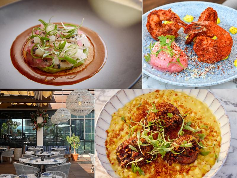 Lemon Grove 1717 Vine St Floor 6, Los Angeles