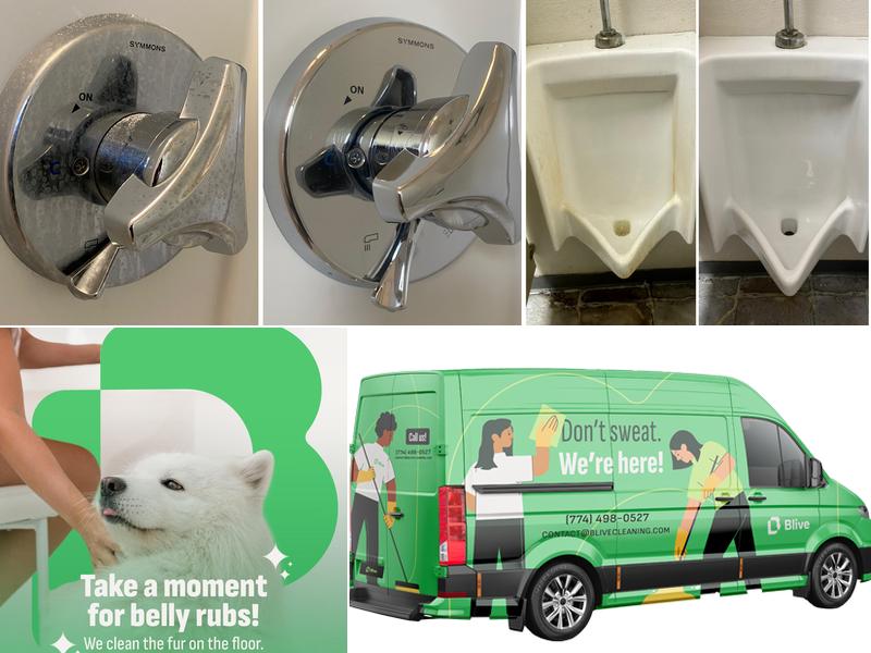 Ale Cleaning Service