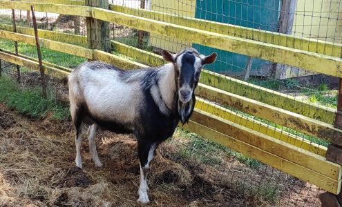 LJ Ranch LLC. Ocean Park